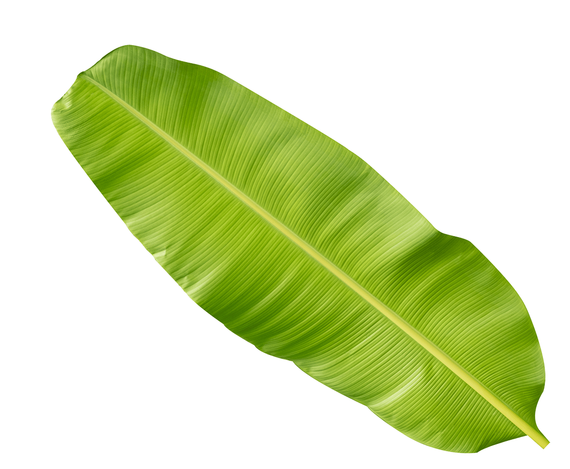 keliche paan